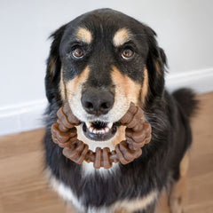 Nylabone Strong Chew Textured Ring Dog Toy, Dog Chew Toy, Made with Real Beef & Chicken Flavor, X-Large, 1 Count